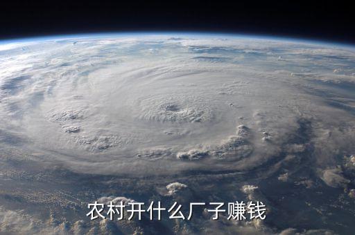 農(nóng)村開(kāi)什么廠(chǎng)子賺錢(qián)