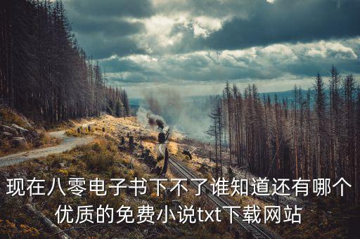 現(xiàn)在八零電子書下不了誰知道還有哪個(gè)優(yōu)質(zhì)的免費(fèi)小說txt下載網(wǎng)站