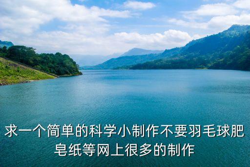求一個簡單的科學小制作不要羽毛球肥皂紙等網(wǎng)上很多的制作