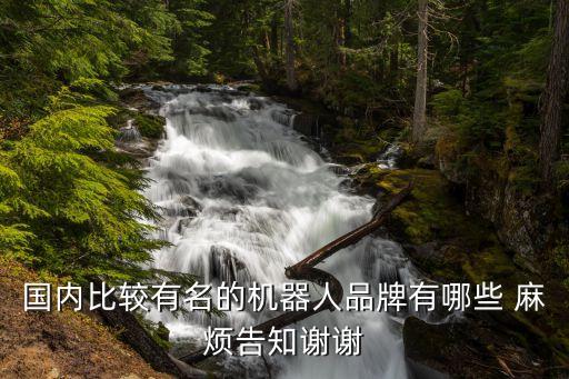 國內(nèi)比較有名的機(jī)器人品牌有哪些 麻煩告知謝謝