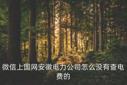 國網(wǎng)電力公司APP，微信上國網(wǎng)安徽電力公司怎么沒有查電費的