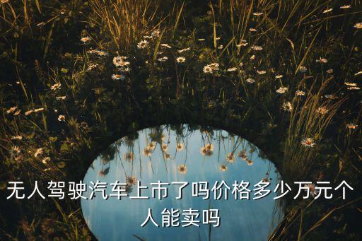 無人駕駛汽車上市了嗎價格多少萬元個人能賣嗎