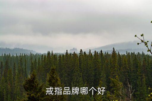 戒指哪個(gè)牌子的好，戒指什么品牌最好