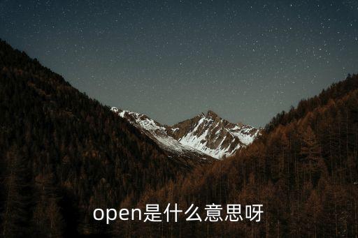 open是什么意思呀