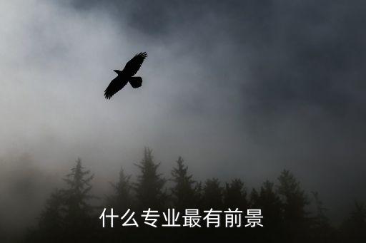 什么專業(yè)最有前景