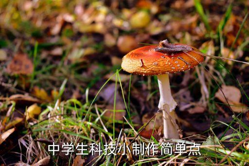 初中生科技小制作成品教程，初中科技小制作