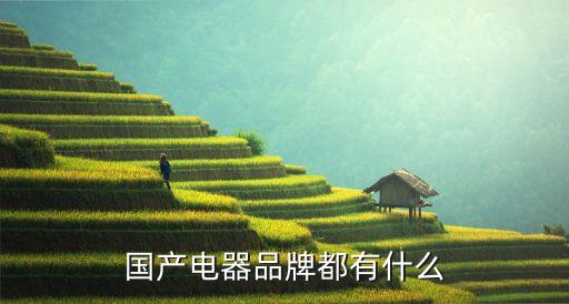 國產(chǎn)電器品牌都有什么