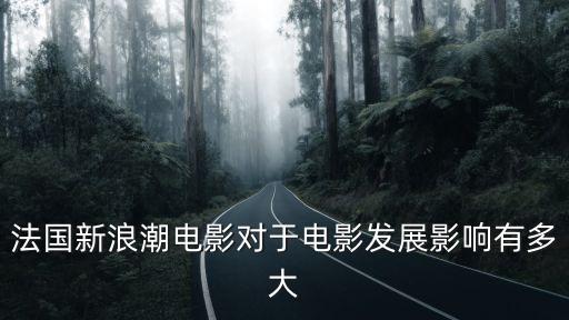 法國新浪潮電影對于電影發(fā)展影響有多大