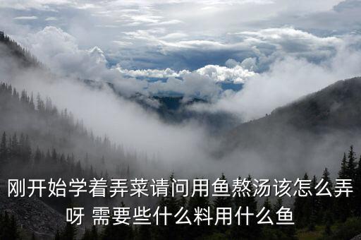 拼夕夕刷助力網(wǎng)站，剛開始學(xué)著弄菜請(qǐng)問用魚熬湯該怎么弄呀 需要些什么料用什么魚