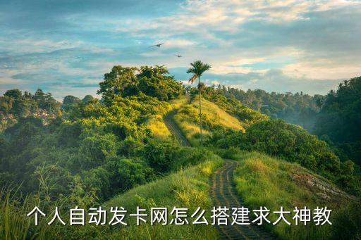 個人自動發(fā)卡網(wǎng)怎么搭建求大神教