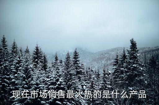 現(xiàn)在市場(chǎng)銷售最火熱的是什么產(chǎn)品