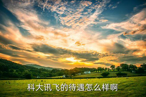 科大訊飛的待遇怎么樣啊