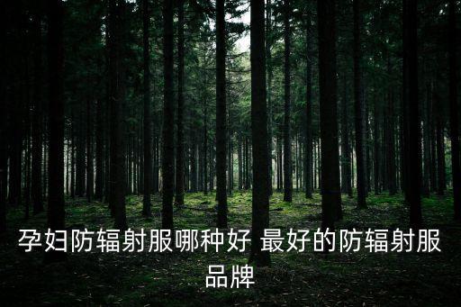 孕婦防輻射服哪種好 最好的防輻射服品牌