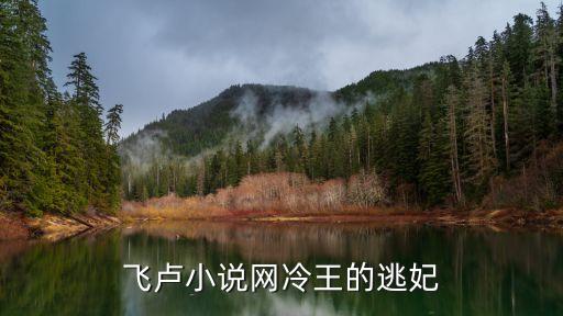 從芯片大亨到科技霸主飛盧，飛盧小說網(wǎng)冷王的逃妃