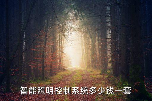 智能照明控制系統(tǒng)多少錢一套