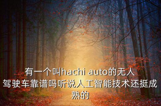 有一個叫hachi auto的無人駕駛車靠譜嗎聽說人工智能技術(shù)還挺成熟的