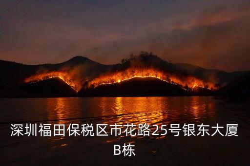深圳福田保稅區(qū)市花路25號銀東大廈B棟