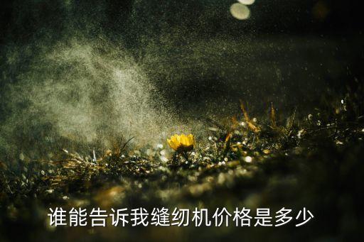 誰(shuí)能告訴我縫紉機(jī)價(jià)格是多少