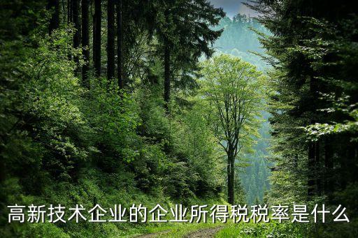 高科技企業(yè)所得稅稅率，高新技術(shù)企業(yè)的企業(yè)所得稅稅率是什么