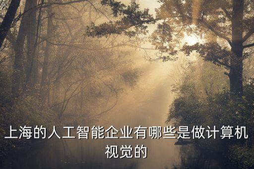 上海的人工智能企業(yè)有哪些是做計算機視覺的