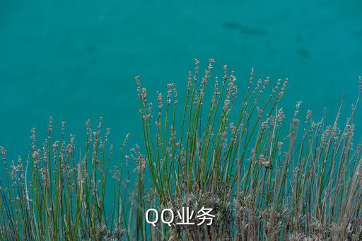 QQ業(yè)務(wù)