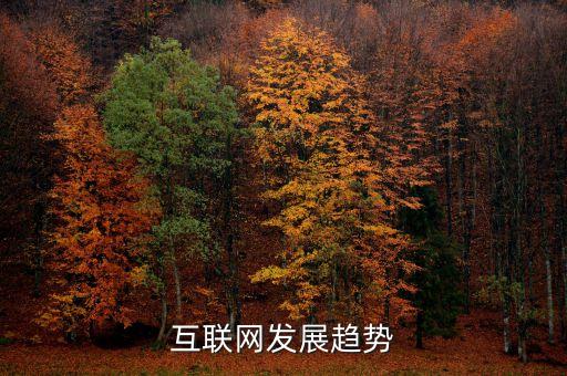 互聯(lián)網(wǎng)在未來的趨勢(shì)是什么，互聯(lián)網(wǎng)發(fā)展趨勢(shì)