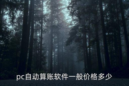 pc自動算賬軟件一般價(jià)格多少
