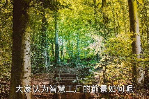 智能工廠的發(fā)展趨勢(shì)，智能制造發(fā)展趨勢(shì) 工程院院士譚建榮怎么說(shuō)