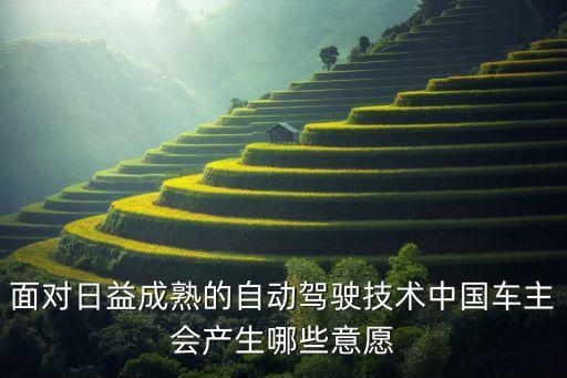 自動(dòng)駕駛汽車技術(shù)綜述前言，自動(dòng)駕駛汽車的發(fā)展前景