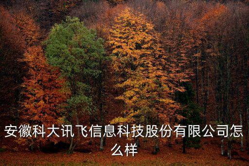 安徽科大訊飛信息科技股份有限公司怎么樣