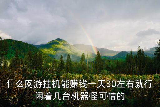 掛機每天能賺30 50元的游戲，什么網(wǎng)游掛機能賺錢一天30左右就行閑著幾臺機器怪可惜的