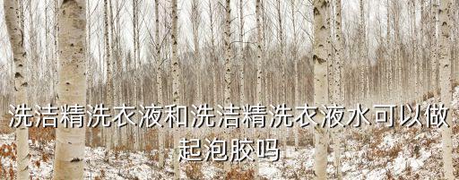 洗潔精洗衣液和洗潔精洗衣液水可以做起泡膠嗎