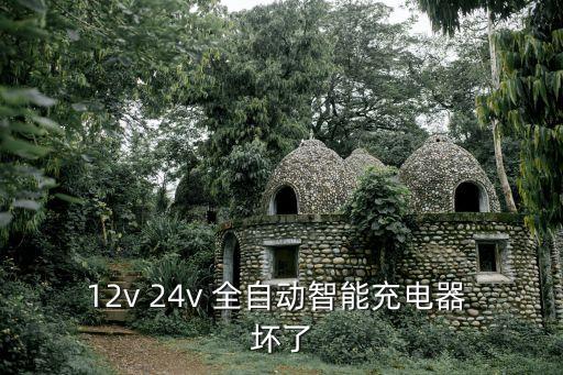 12v 24v 全自動(dòng)智能充電器 壞了