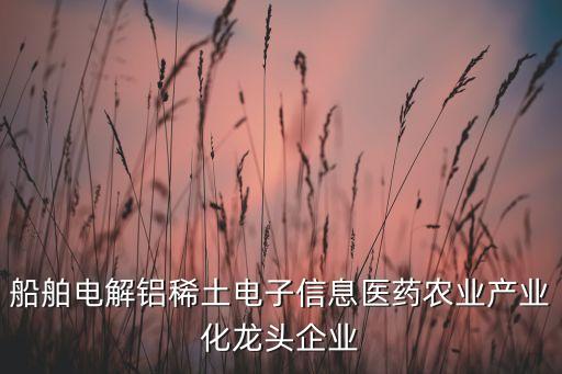 數(shù)字經(jīng)濟(jì)龍頭一覽表，船舶電解鋁稀土電子信息醫(yī)藥農(nóng)業(yè)產(chǎn)業(yè)化龍頭企業(yè)
