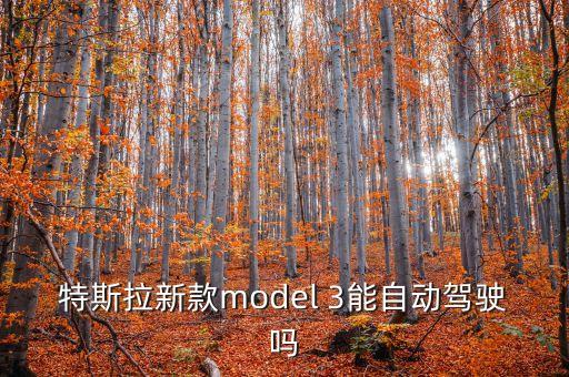 特斯拉實現(xiàn)自動駕駛了嗎知乎，中國允許特斯拉汽車開自動駕駛嗎