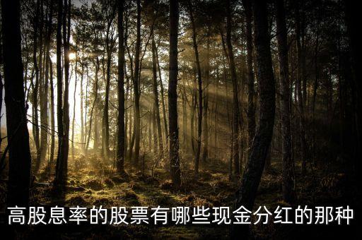 長(zhǎng)期高股息率股票，股息率高的股票有哪些