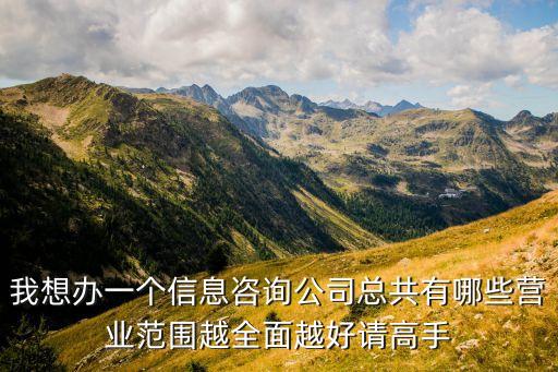 我想辦一個信息咨詢公司總共有哪些營業(yè)范圍越全面越好請高手
