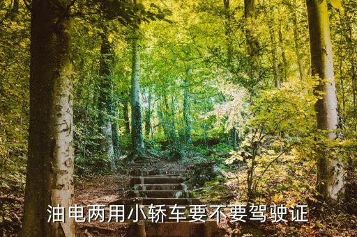 油電兩用小轎車(chē)要不要駕駛證