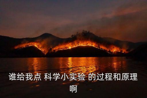 科學(xué)小實(shí)驗(yàn)視頻及原理介紹，誰(shuí)給我點(diǎn) 科學(xué)小實(shí)驗(yàn) 的過(guò)程和原理啊