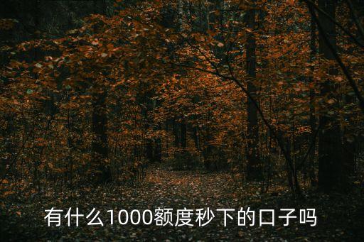 一千元秒下款的口子，有什么1000額度秒下的口子嗎