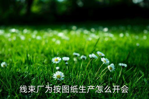 線束自動化生產(chǎn)設(shè)備圖紙，誰知道有做線束加工的全自動流水線廠家就是將線材連接器等物