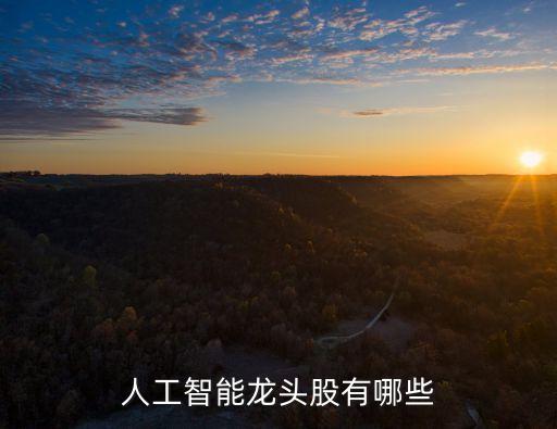 人工智能上市企業(yè)排名榜，人工智能龍頭股有哪些
