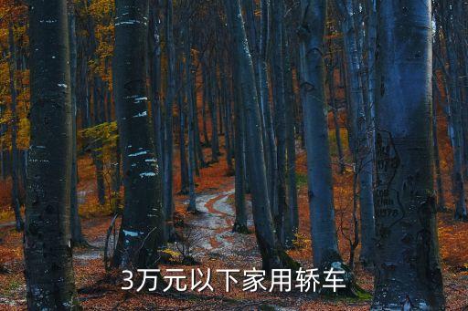 3萬元以下家用轎車