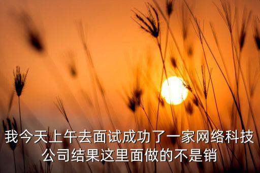 科技公司復試騙局，我今天上午去面試成功了一家網(wǎng)絡(luò)科技公司結(jié)果這里面做的不是銷