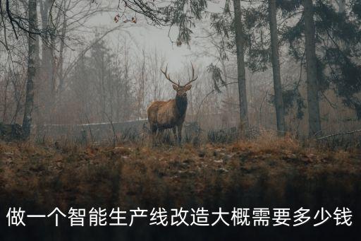 做一個(gè)智能生產(chǎn)線(xiàn)改造大概需要多少錢(qián)