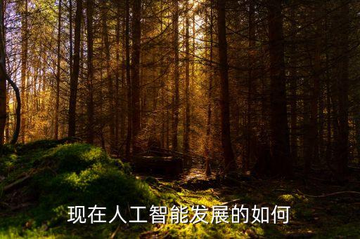 現(xiàn)在人工智能發(fā)展的如何