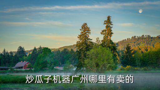 炒瓜子機(jī)器廣州哪里有賣的