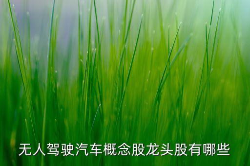 無人駕駛汽車概念股龍頭股有哪些