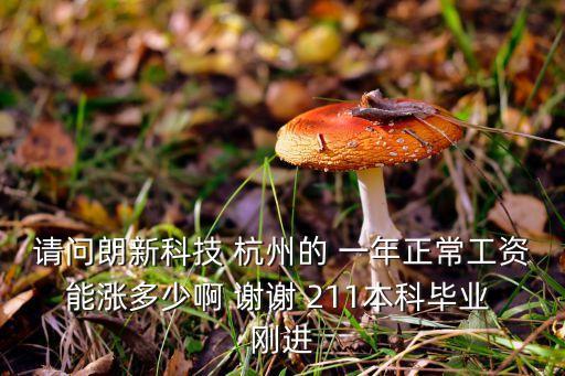 請(qǐng)問(wèn)朗新科技 杭州的 一年正常工資能漲多少啊 謝謝 211本科畢業(yè) 剛進(jìn)