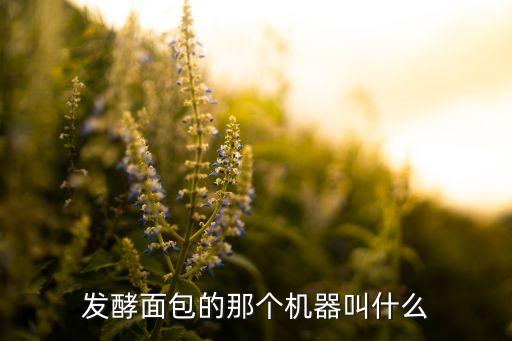 全自動(dòng)發(fā)酵設(shè)備，小型全自動(dòng)乳酸菌EM菌發(fā)酵罐就是全動(dòng)發(fā)酵機(jī)嗎